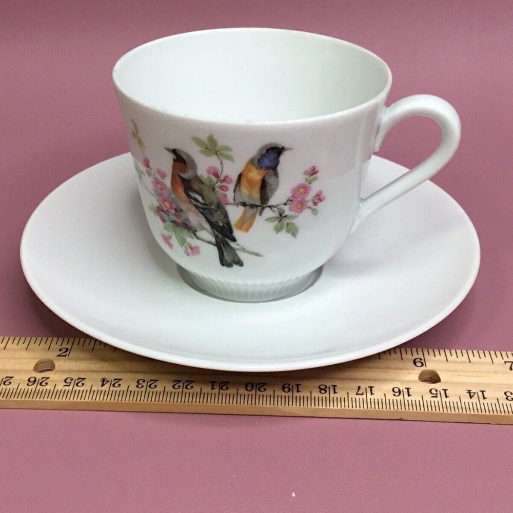 Schumann Arzberg White/Pink Birds Theme Tea Cup &‎ Saucer Set  Bavaria Germany